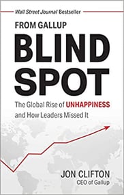 Blind Spot book cover